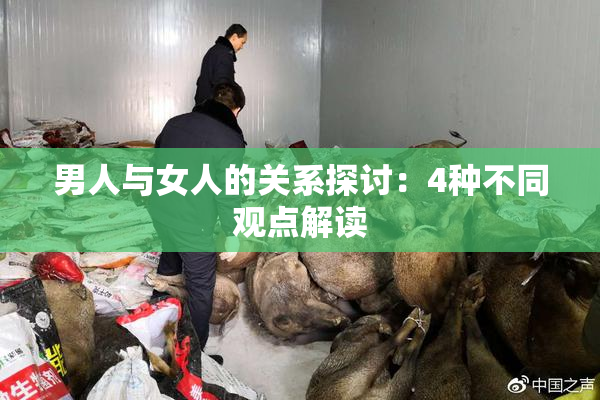 男人与女人的关系探讨：4种不同观点解读