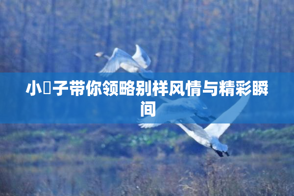 小峓子带你领略别样风情与精彩瞬间