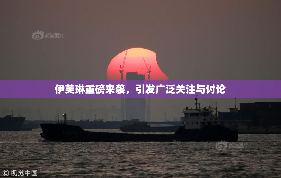 伊芙琳重磅来袭，引发广泛关注与讨论