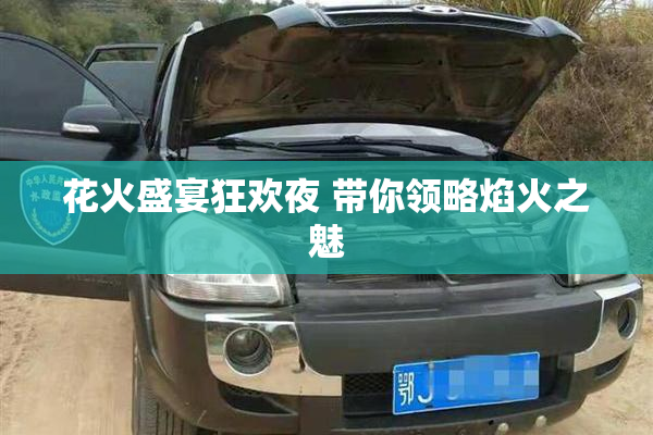 花火盛宴狂欢夜 带你领略焰火之魅