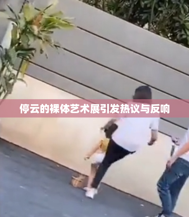 停云的裸体艺术展引发热议与反响