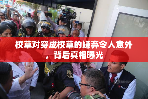 校草对穿成校草的嫌弃令人意外，背后真相曝光