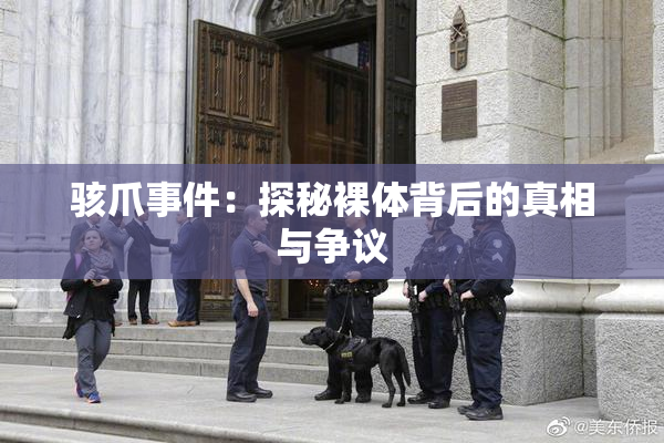 骇爪事件：探秘裸体背后的真相与争议