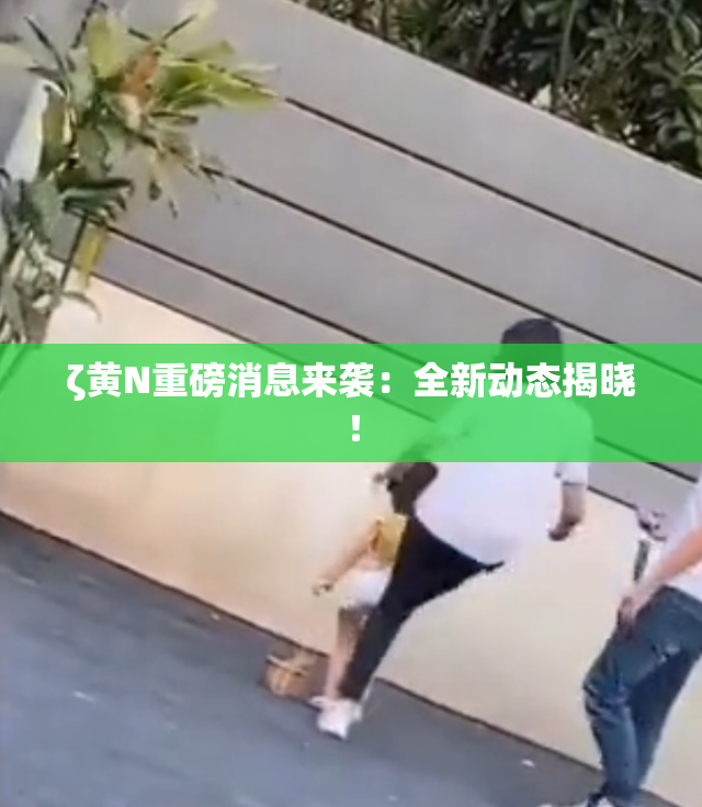 ζ黄Ν重磅消息来袭：全新动态揭晓！