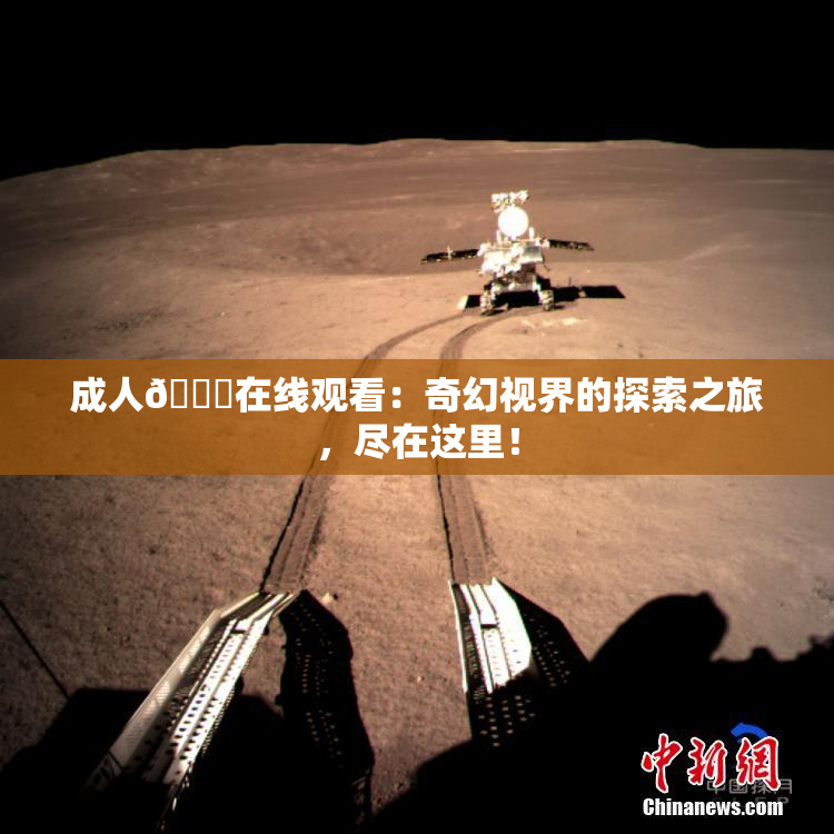 成人🔞在线观看：奇幻视界的探索之旅，尽在这里！