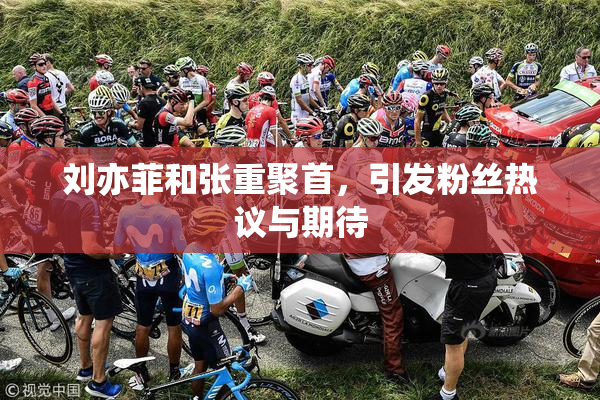 刘亦菲和张重聚首，引发粉丝热议与期待