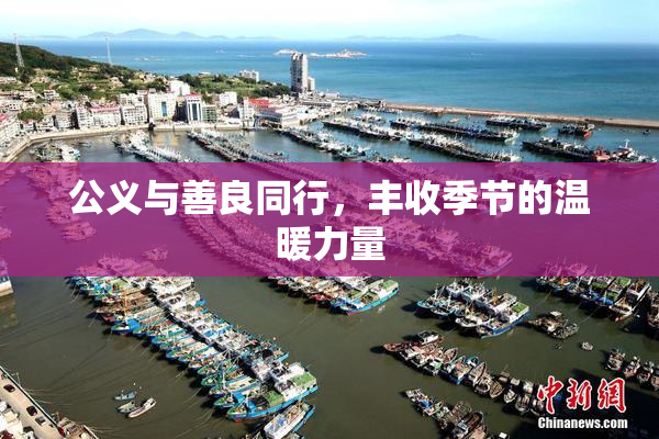 公义与善良同行，丰收季节的温暖力量