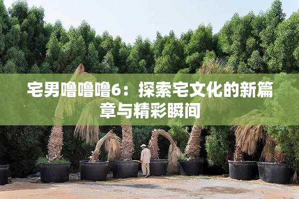 宅男噜噜噜6：探索宅文化的新篇章与精彩瞬间