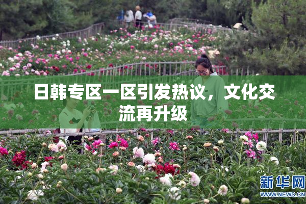 日韩专区一区引发热议，文化交流再升级