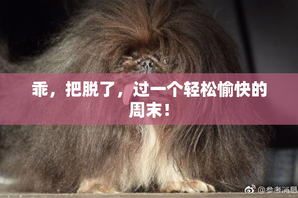 乖，把脱了，过一个轻松愉快的周末！