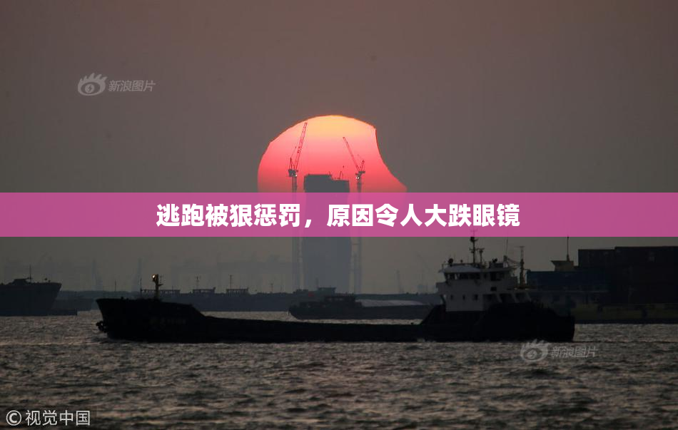 逃跑被狠惩罚，原因令人大跌眼镜
