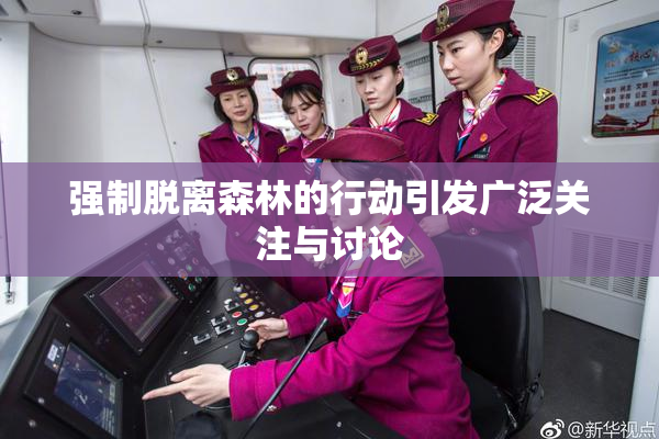 强制脱离森林的行动引发广泛关注与讨论