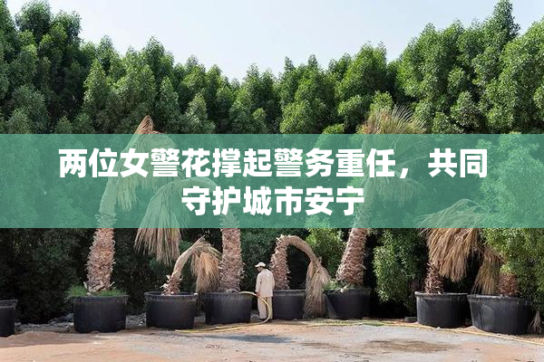 两位女警花撑起警务重任，共同守护城市安宁