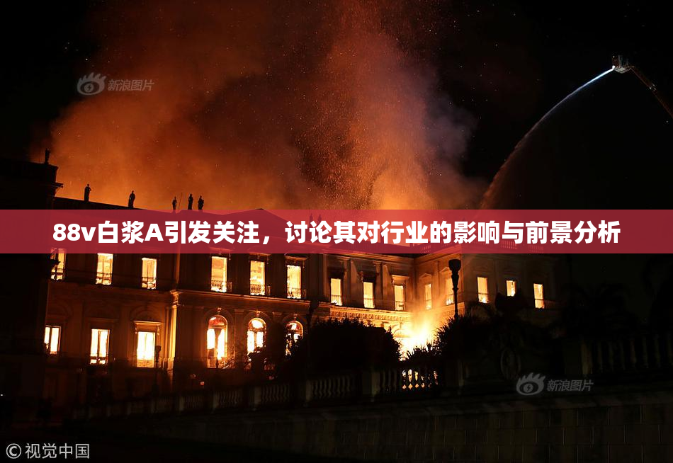 88v白浆A引发关注，讨论其对行业的影响与前景分析