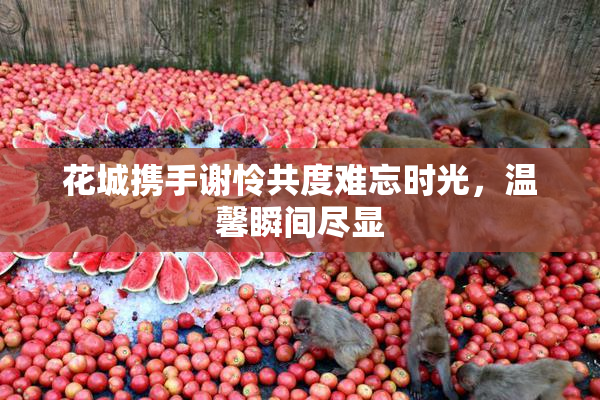 花城携手谢怜共度难忘时光，温馨瞬间尽显