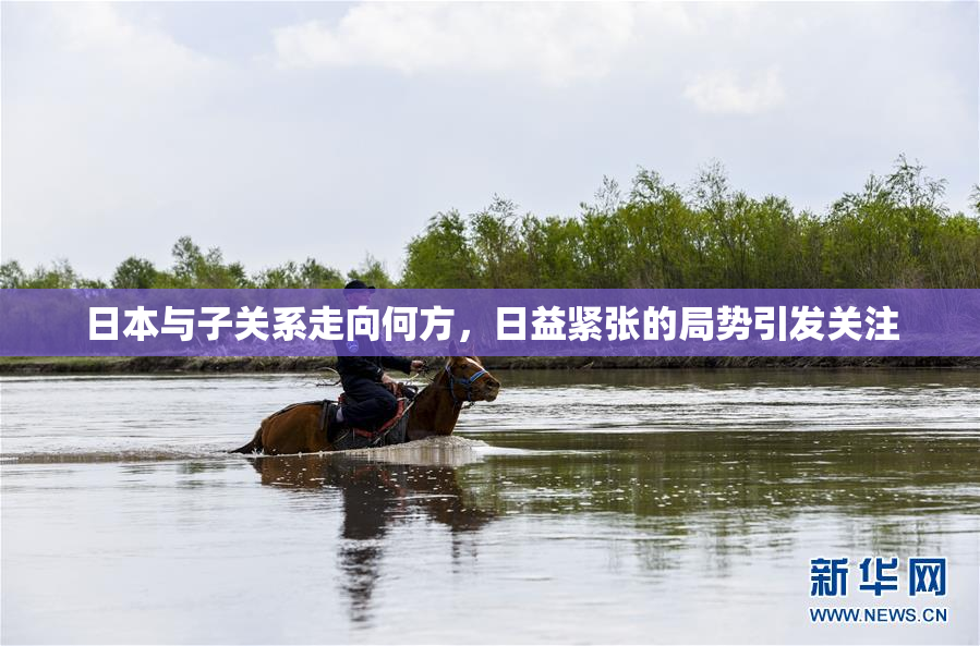 日本与子关系走向何方，日益紧张的局势引发关注