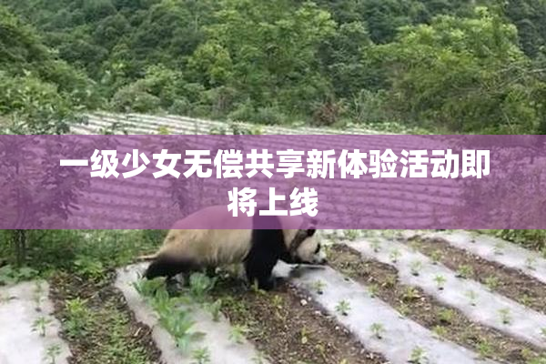 一级少女无偿共享新体验活动即将上线