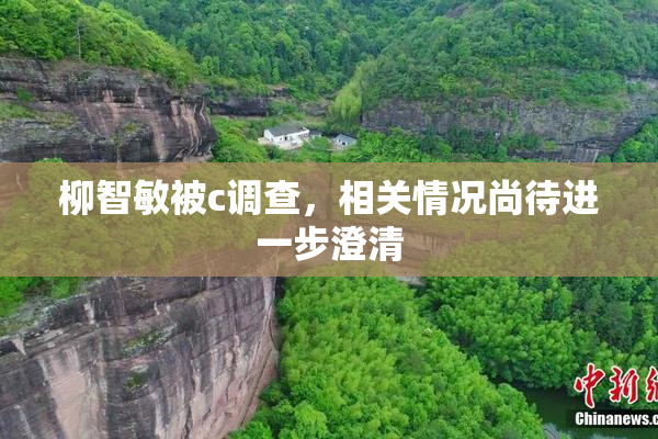 柳智敏被c调查，相关情况尚待进一步澄清