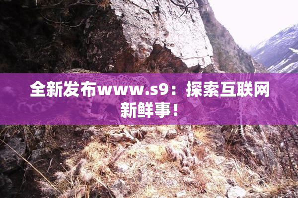 全新发布www.s9：探索互联网新鲜事！