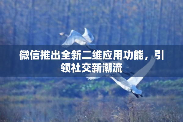 微信推出全新二维应用功能，引领社交新潮流