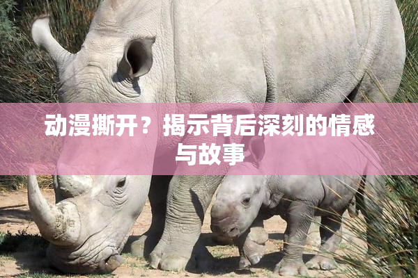 动漫撕开？揭示背后深刻的情感与故事