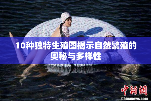 10种独特生殖图揭示自然繁殖的奥秘与多样性