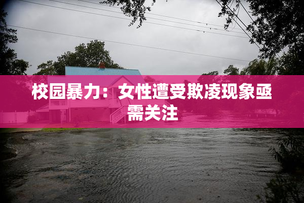 校园暴力：女性遭受欺凌现象亟需关注