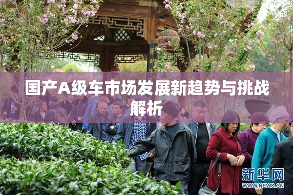 国产A级车市场发展新趋势与挑战解析