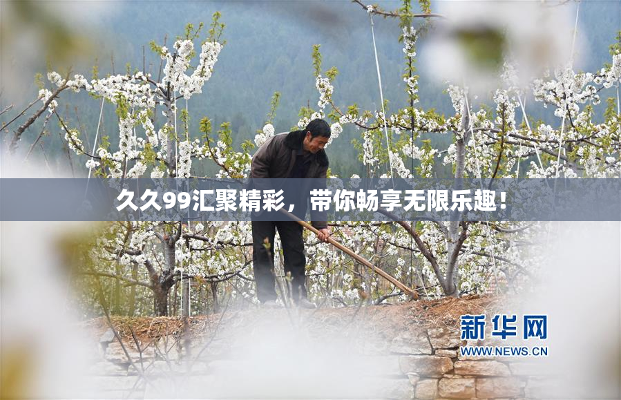 久久99汇聚精彩，带你畅享无限乐趣！