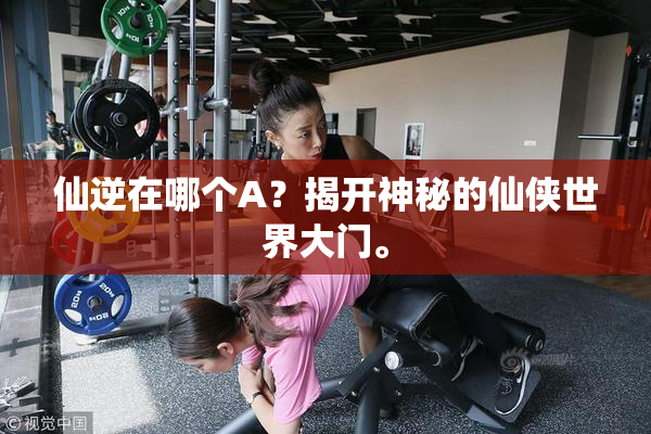 仙逆在哪个A？揭开神秘的仙侠世界大门。