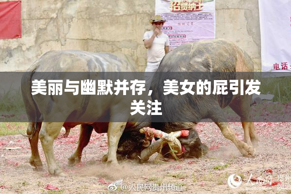 美丽与幽默并存，美女的屁引发关注