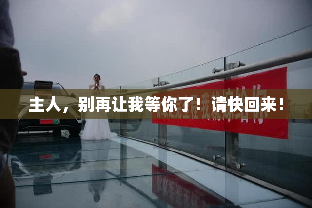 主人，别再让我等你了！请快回来！