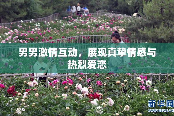 男男激情互动，展现真挚情感与热烈爱恋