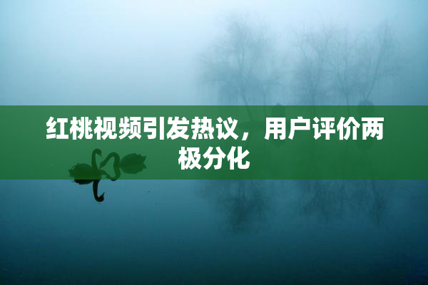 红桃视频引发热议，用户评价两极分化