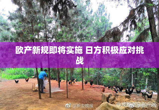 欧产新规即将实施 日方积极应对挑战
