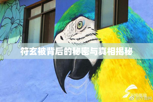 符玄被背后的秘密与真相揭秘