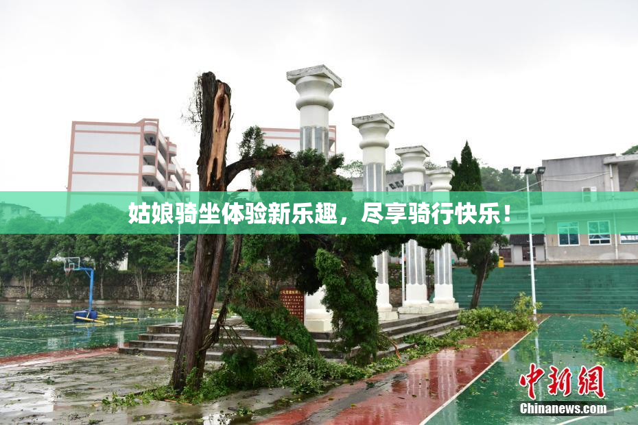 姑娘骑坐体验新乐趣，尽享骑行快乐！