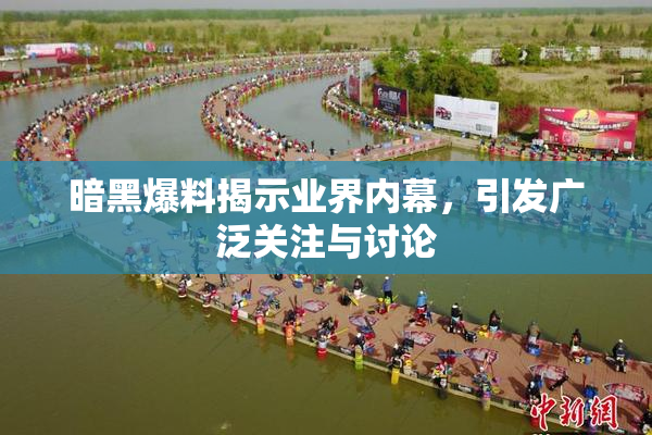 暗黑爆料揭示业界内幕，引发广泛关注与讨论