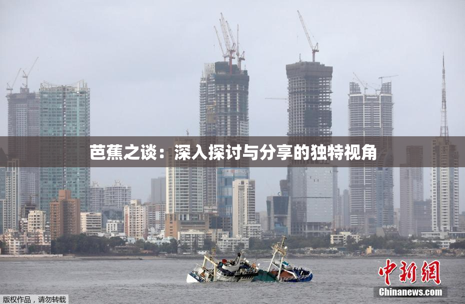 芭蕉之谈：深入探讨与分享的独特视角