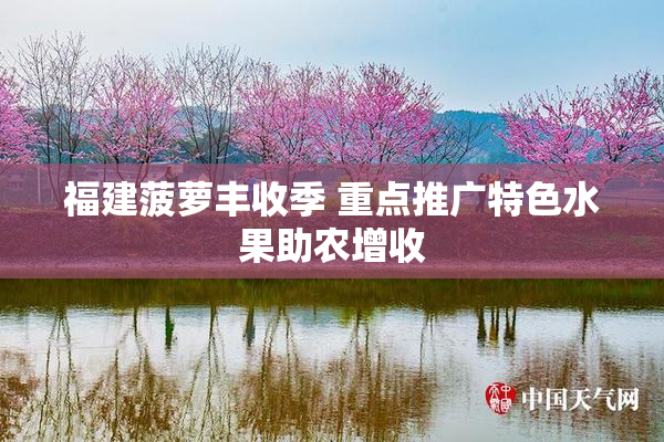 福建菠萝丰收季 重点推广特色水果助农增收