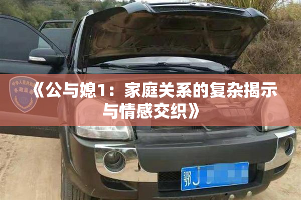 《公与媳1：家庭关系的复杂揭示与情感交织》