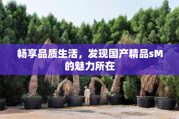 畅享品质生活，发现国产精品sM的魅力所在