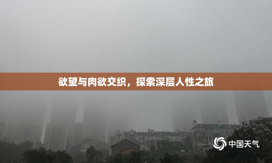 欲望与肉欲交织，探索深层人性之旅