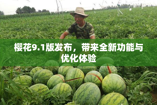 樱花9.1版发布，带来全新功能与优化体验
