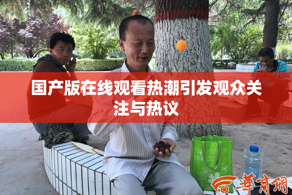 国产版在线观看热潮引发观众关注与热议