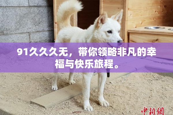 91久久久无，带你领略非凡的幸福与快乐旅程。