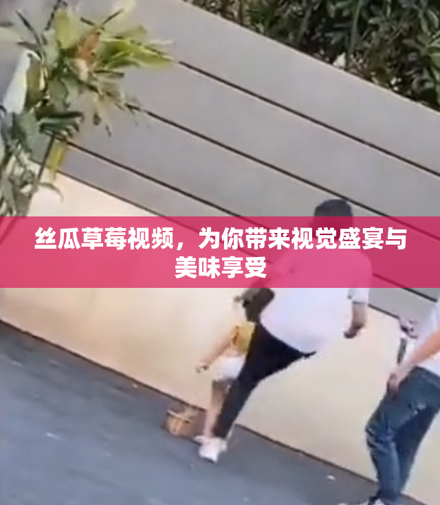 丝瓜草莓视频，为你带来视觉盛宴与美味享受