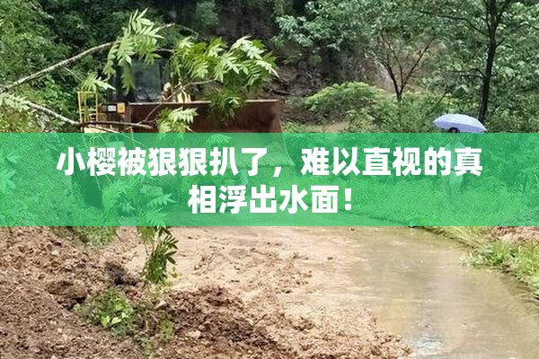 小樱被狠狠扒了，难以直视的真相浮出水面！