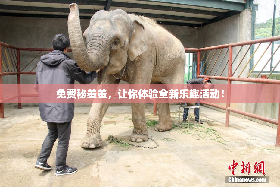 免费秘羞羞，让你体验全新乐趣活动！