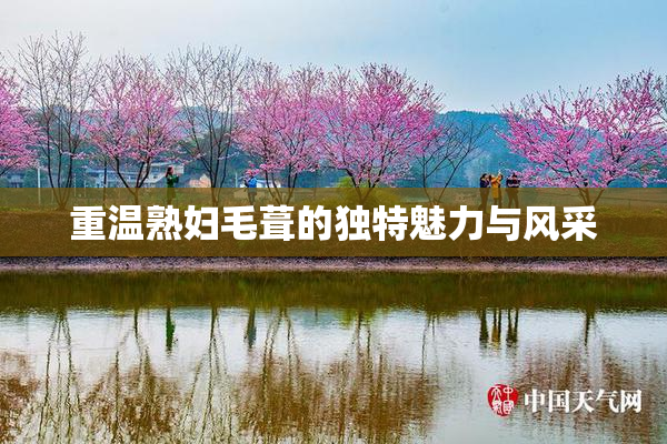 重温熟妇毛葺的独特魅力与风采